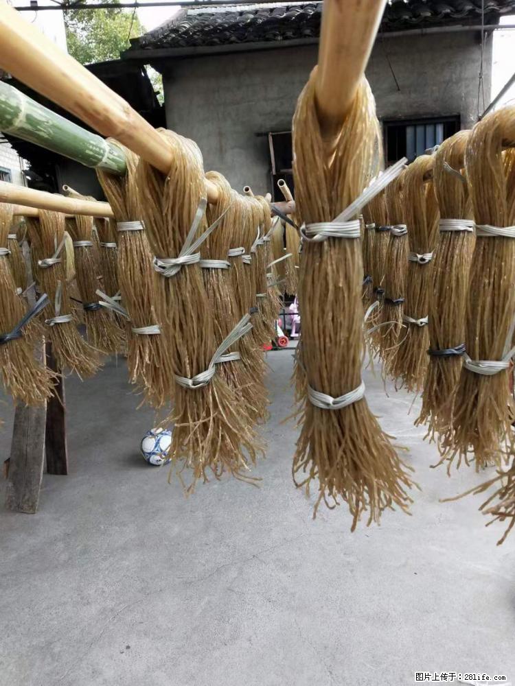 【灌阳正宗红薯粉】美女家里自己做的,干净卫生,假一赔十,价格合理,抢购电话:13737312895 - 美食天地 - 江门生活社区 - 江门28生活网 jm.28life.com