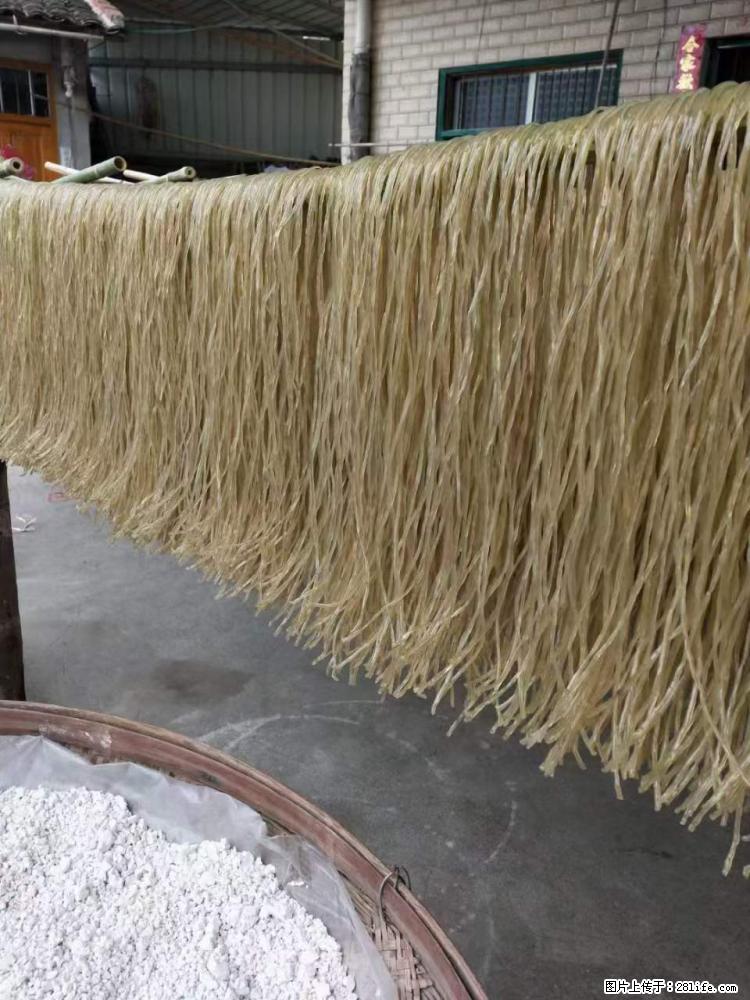 【灌阳正宗红薯粉】美女家里自己做的,干净卫生,假一赔十,价格合理,抢购电话:13737312895 - 美食天地 - 江门生活社区 - 江门28生活网 jm.28life.com