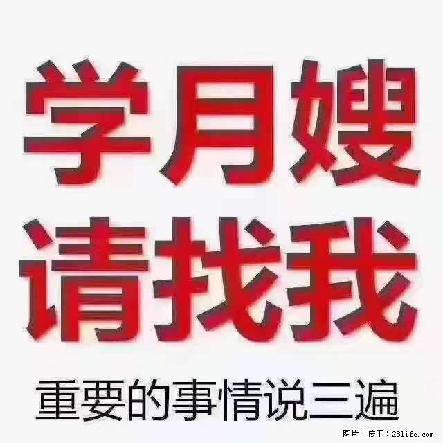 为什么要学习月嫂,育婴师? - 其他广告 - 广告专区 - 江门分类信息 - 江门28生活网 jm.28life.com