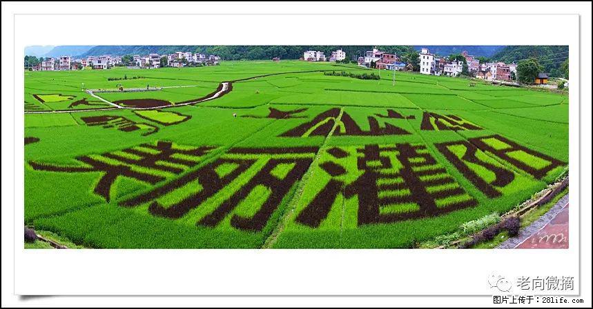 【春天,广西桂林灌阳县向您发出邀请!】开篇 - 游山玩水 - 江门生活社区 - 江门28生活网 jm.28life.com