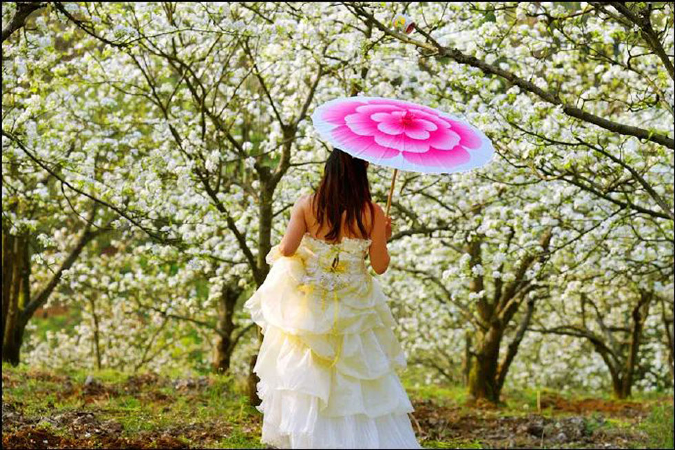 【春天,广西桂林灌阳县向您发出邀请!】我们在灌阳看梨花 - 游山玩水 - 江门生活社区 - 江门28生活网 jm.28life.com