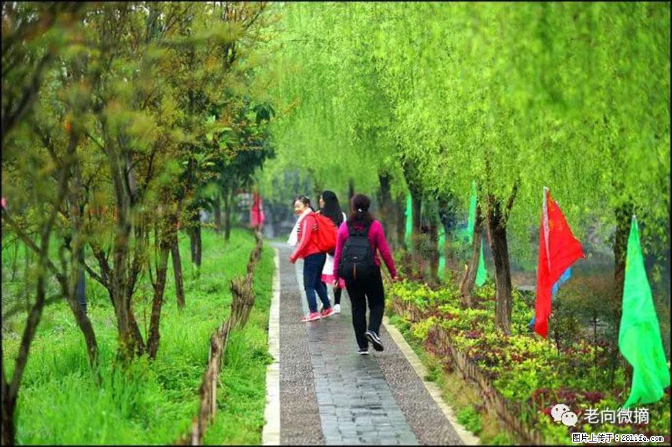 【春天,广西桂林灌阳县向您发出邀请!】江口老街又逢春 - 游山玩水 - 江门生活社区 - 江门28生活网 jm.28life.com