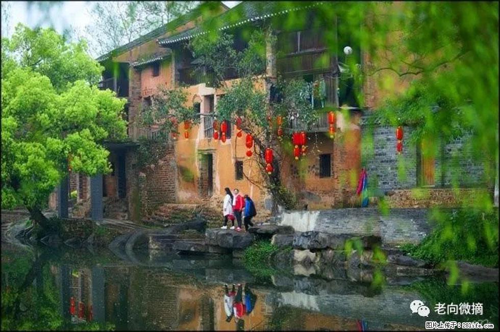 【春天,广西桂林灌阳县向您发出邀请!】江口老街又逢春 - 游山玩水 - 江门生活社区 - 江门28生活网 jm.28life.com