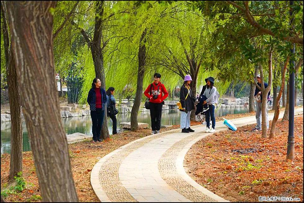 【春天,广西桂林灌阳县向您发出邀请!】江口老街又逢春 - 游山玩水 - 江门生活社区 - 江门28生活网 jm.28life.com