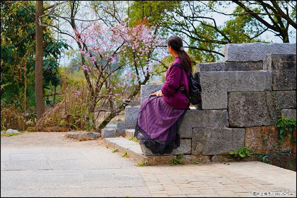 【春天,广西桂林灌阳县向您发出邀请!】江口老街又逢春 - 游山玩水 - 江门生活社区 - 江门28生活网 jm.28life.com