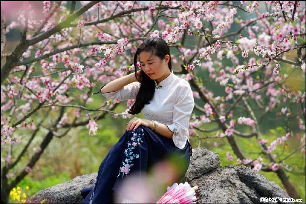 【春天,广西桂林灌阳县向您发出邀请!】望月岭上桃花开 - 游山玩水 - 江门生活社区 - 江门28生活网 jm.28life.com