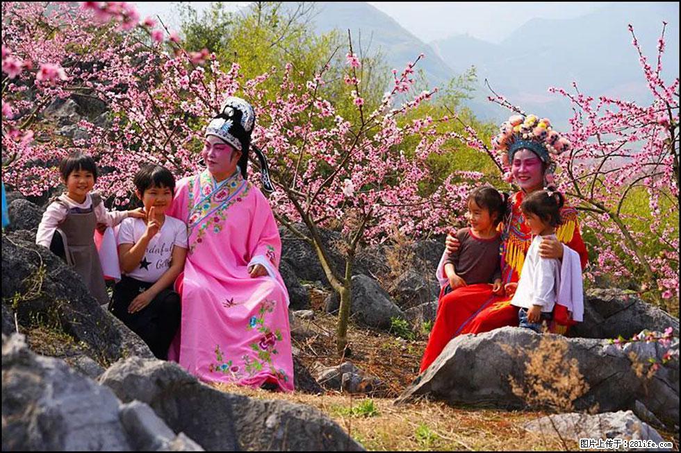 【春天,广西桂林灌阳县向您发出邀请!】望月岭上桃花开 - 游山玩水 - 江门生活社区 - 江门28生活网 jm.28life.com