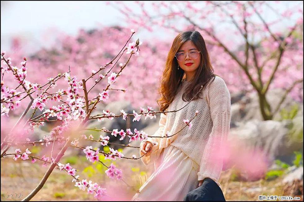 【春天,广西桂林灌阳县向您发出邀请!】望月岭上桃花开 - 游山玩水 - 江门生活社区 - 江门28生活网 jm.28life.com