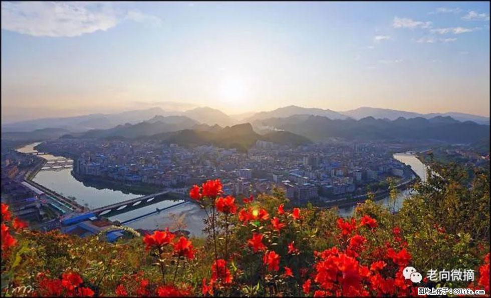 【春天,广西桂林灌阳县向您发出邀请!】登麒麟山,相约映山红 - 游山玩水 - 江门生活社区 - 江门28生活网 jm.28life.com