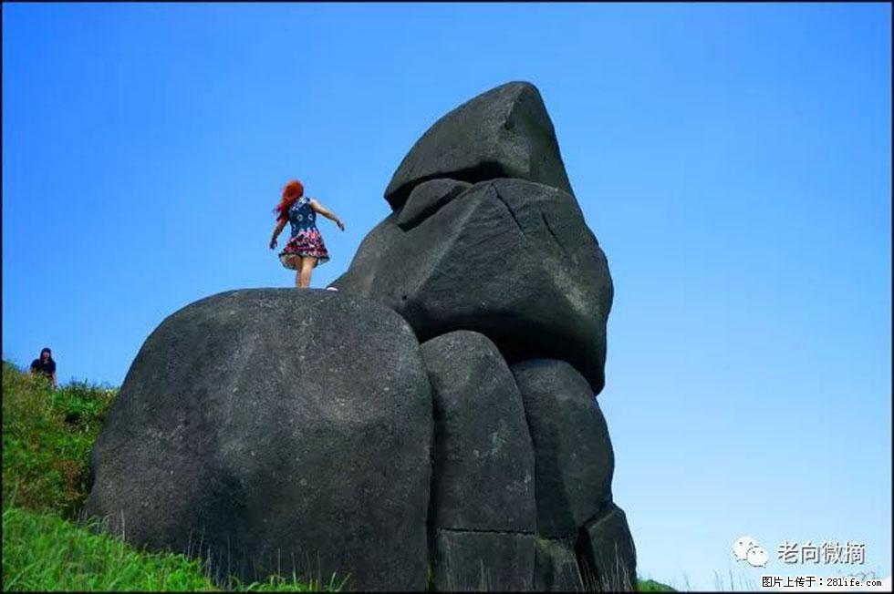 【春天,广西桂林灌阳县向您发出邀请!】宝盖山上映山红 - 游山玩水 - 江门生活社区 - 江门28生活网 jm.28life.com