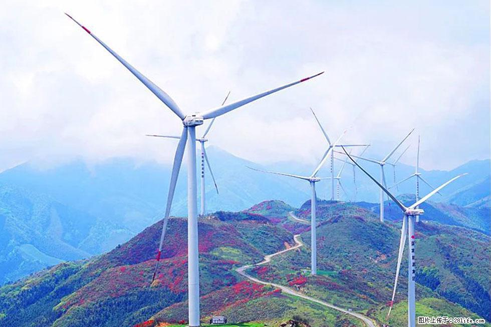 【春天,广西桂林灌阳县向您发出邀请!】春木界上映山红 - 游山玩水 - 江门生活社区 - 江门28生活网 jm.28life.com