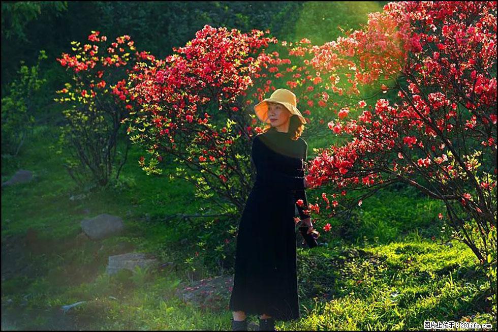 【春天,广西桂林灌阳县向您发出邀请!】春木界上映山红 - 游山玩水 - 江门生活社区 - 江门28生活网 jm.28life.com