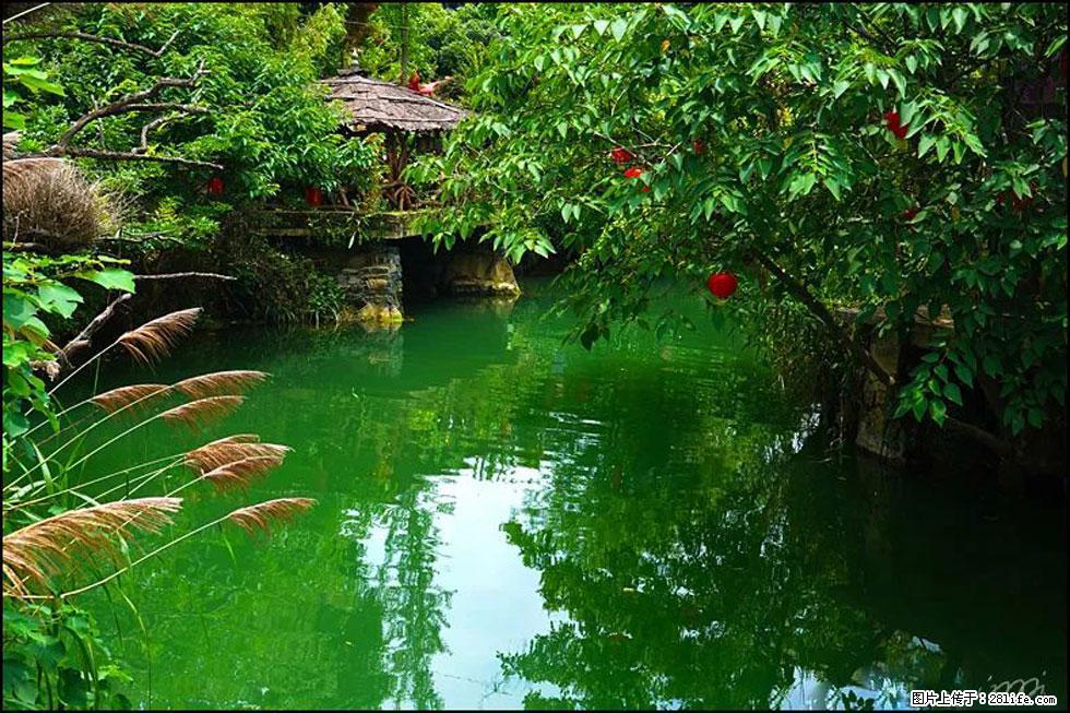 【春天,广西桂林灌阳县向您发出邀请!】如梦似幻莲溪庐 - 游山玩水 - 江门生活社区 - 江门28生活网 jm.28life.com