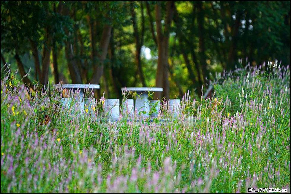 【春天,广西桂林灌阳县向您发出邀请!】熊家寨湿地公园 - 游山玩水 - 江门生活社区 - 江门28生活网 jm.28life.com