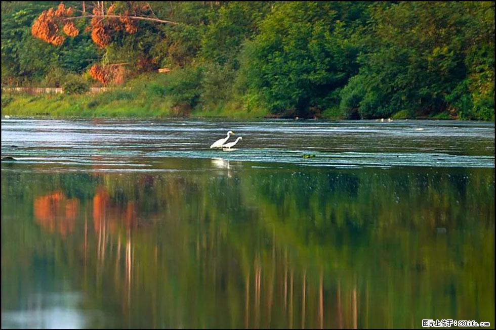 【春天,广西桂林灌阳县向您发出邀请!】熊家寨湿地公园 - 游山玩水 - 江门生活社区 - 江门28生活网 jm.28life.com