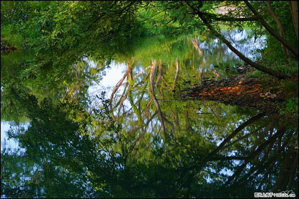 【春天,广西桂林灌阳县向您发出邀请!】熊家寨湿地公园 - 游山玩水 - 江门生活社区 - 江门28生活网 jm.28life.com