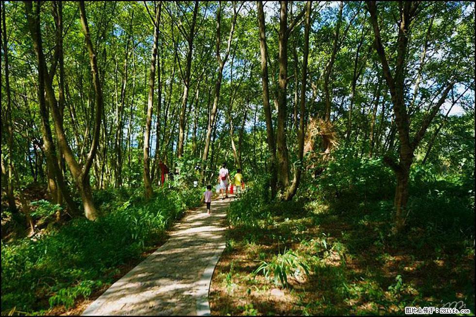 【春天,广西桂林灌阳县向您发出邀请!】熊家寨湿地公园 - 游山玩水 - 江门生活社区 - 江门28生活网 jm.28life.com