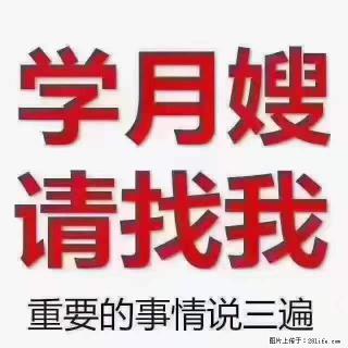 为什么要学习月嫂，育婴师？ - 江门28生活网 jm.28life.com