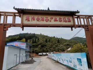 【灌阳县油茶产业示范区】一个有着充实的精神生活的人，对待身外之物自会有一种淡泊的态度 - 江门28生活网 jm.28life.com