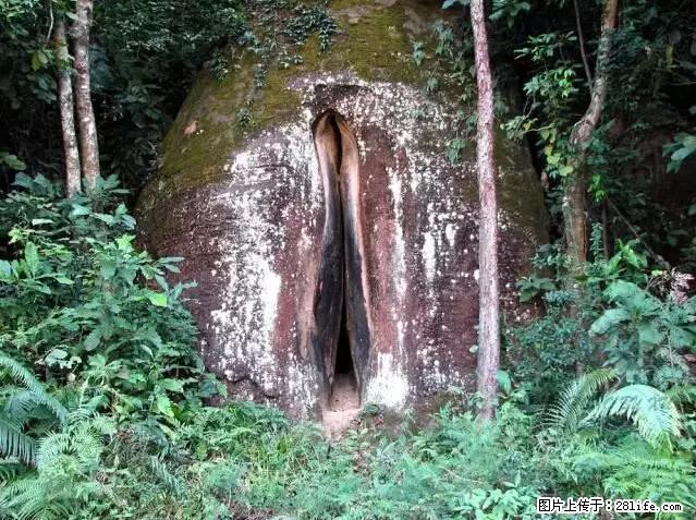 让人脸红的流氓景点，大自然真的有点色 - 灌水专区 - 江门生活社区 - 江门28生活网 jm.28life.com