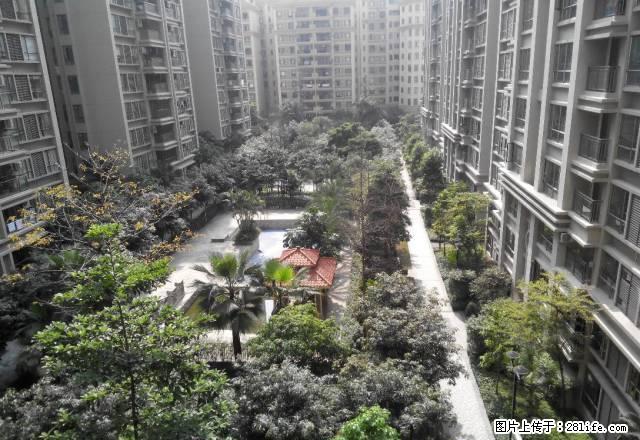 城中旺区高端商务客必选 - 房屋出租 - 房屋租售 - 江门分类信息 - 江门28生活网 jm.28life.com