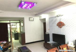 比邻天鹅湾小学，东海花园，精装3房，90方，仅租1600元 - 江门28生活网 jm.28life.com