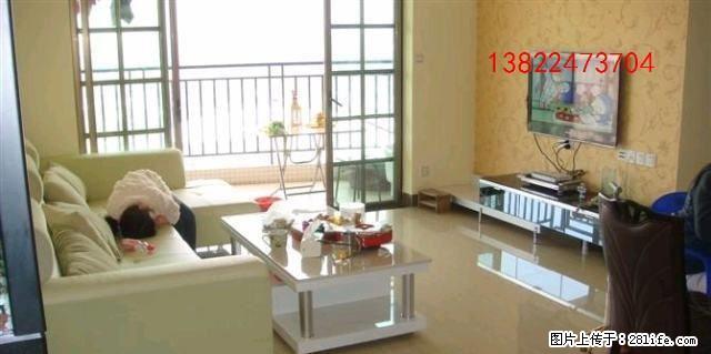 骏景湾豪庭 3室2厅2卫 - 房屋出租 - 房屋租售 - 江门分类信息 - 江门28生活网 jm.28life.com