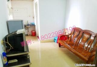 双龙广场 一房一厅 家电齐 电梯 小区 带阳台 - 江门28生活网 jm.28life.com