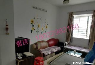 双龙广场 电梯9楼 家电齐 一房一厅 - 江门28生活网 jm.28life.com