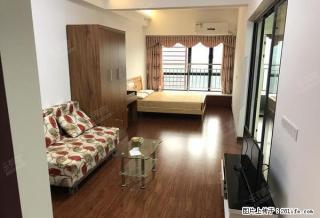 艾迪公寓全新精装公寓出租2000包物业管理费 - 江门28生活网 jm.28life.com