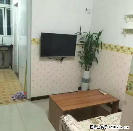 笋盘,双龙广场附近1房1厅电梯房出租,1300可拎包入住! - 房屋出租 - 房屋租售 - 江门分类信息 - 江门28生活网 jm.28life.com