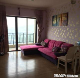 出租坚美园全新装修全新家私电器 - 江门28生活网 jm.28life.com