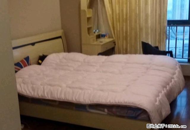 高层潮流装修,汇悦城对面万达广场精装公寓,美丽景观尽收眼底 - 房屋出租 - 房屋租售 - 江门分类信息 - 江门28生活网 jm.28life.com