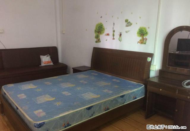 (单间出租)购书中心附近 朝江路 超大一房一厅 家电齐全 有个大阳台 - 房屋出租 - 房屋租售 - 江门分类信息 - 江门28生活网 jm.28life.com