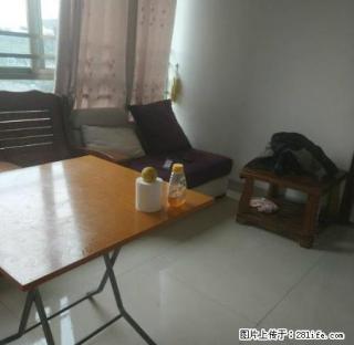 (单间出租)高档小区 翠林苑 1室1厅 出租 仅1400元包管理费 - 江门28生活网 jm.28life.com