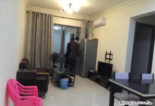 江海碧桂园精装修3房 电梯房 家电齐全 拎包入住！天鹅湾对面 - 江门28生活网 jm.28life.com