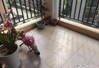 找房子当然找骏景湾，繁华地段，旺中带静。现只租3000/月 - 江门28生活网 jm.28life.com