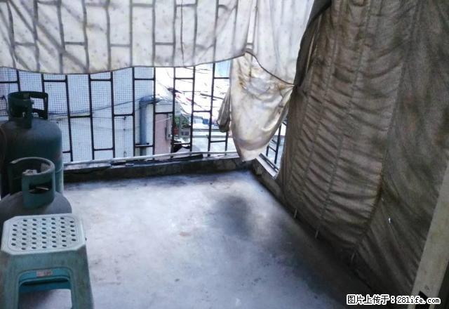 真实房源 中心南路4楼独立大套间全齐家电 800元 - 房屋出租 - 房屋租售 - 江门分类信息 - 江门28生活网 jm.28life.com