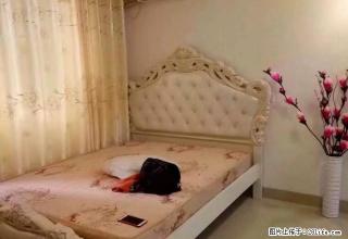 真实房源 世纪广场后面3楼独立 1房1厅全齐家电 1500元 - 江门28生活网 jm.28life.com