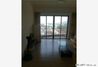 公园一号大两房80平方精装修出租 居住舒适 低楼层 拧包入住 - 江门28生活网 jm.28life.com