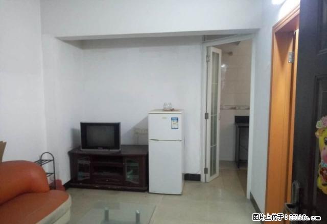 双龙广场 电梯高层包物管新装修方便看房 - 房屋出租 - 房屋租售 - 江门分类信息 - 江门28生活网 jm.28life.com