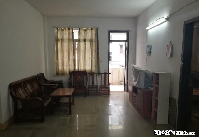 育德街 育德东小区 精装三房两厅 中楼层 南北通风 采光好 - 房屋出租 - 房屋租售 - 江门分类信息 - 江门28生活网 jm.28life.com