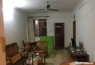 整租 育德街 怡雅苑 三房两厅 家私家电齐全 采光好 交通便 - 江门28生活网 jm.28life.com