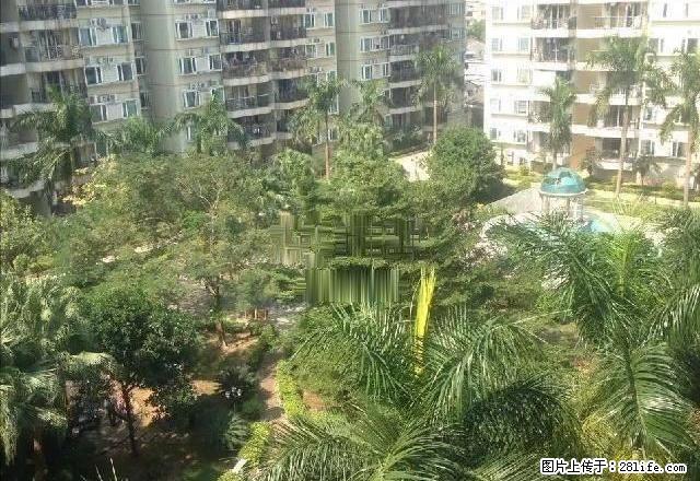 清爽大户型,齐全家私,双龙广场 2800元 3室2厅2卫 普 - 房屋出租 - 房屋租售 - 江门分类信息 - 江门28生活网 jm.28life.com