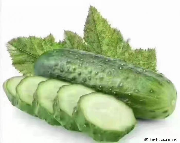 【生活小常识】吃黄瓜的好处 - 生活百科 - 江门生活社区 - 江门28生活网 jm.28life.com
