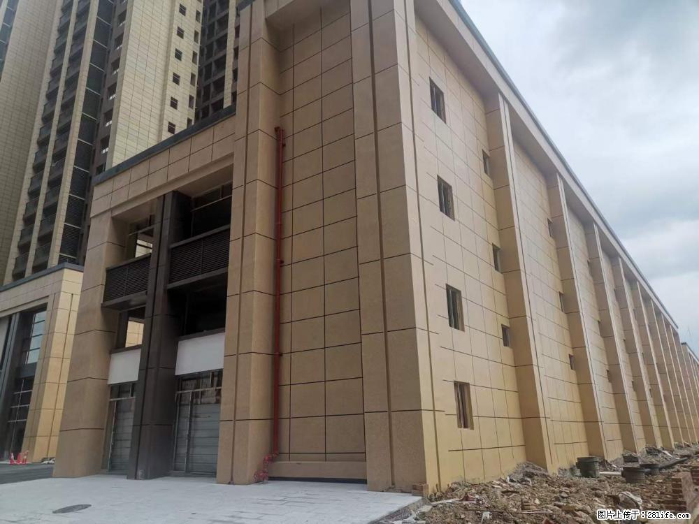 【广西三象建筑安装工程有限公司】外墙涂料工程 - 新手上路 - 江门生活社区 - 江门28生活网 jm.28life.com