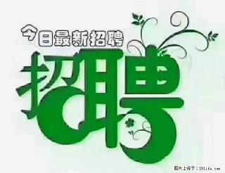 上海青浦区招仓管 - 江门28生活网 jm.28life.com