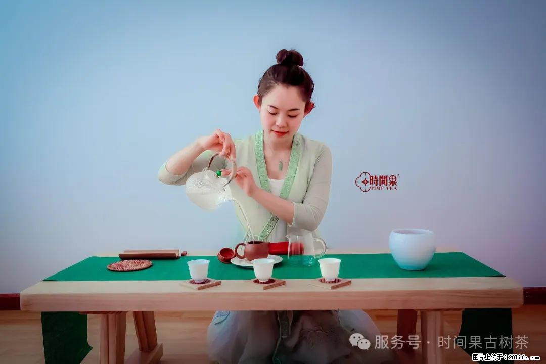 时间果百年古树龙珠普洱生茶 - 购物交流 - 江门生活社区 - 江门28生活网 jm.28life.com