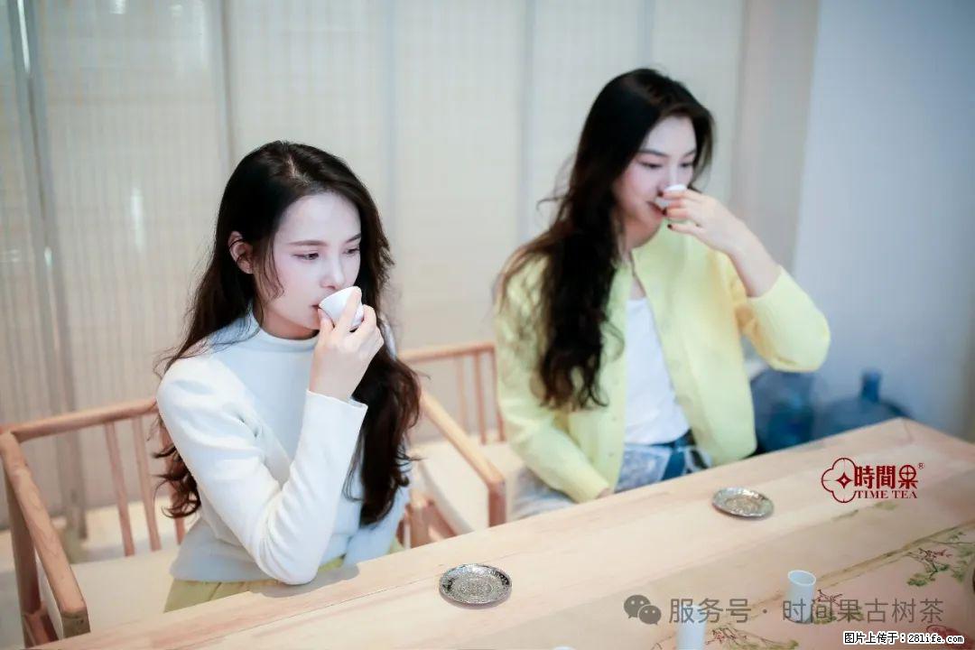 时间果百年古树龙珠普洱生茶 - 购物交流 - 江门生活社区 - 江门28生活网 jm.28life.com