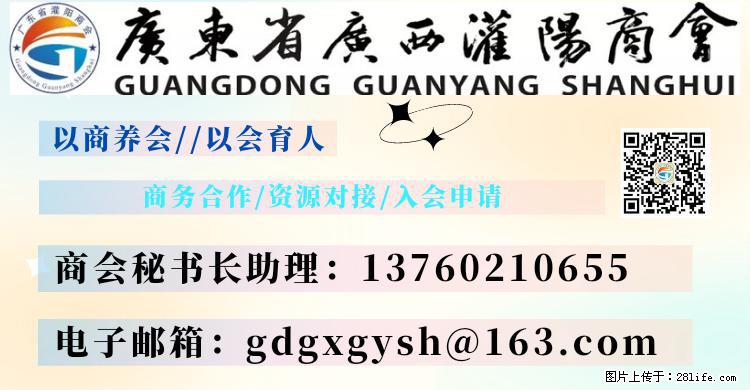 “粤灌文化 美好生活”油茶文化主题活动在广东深圳成功举办 - 江门生活资讯 - 江门28生活网 jm.28life.com